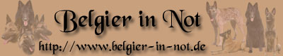 http://www.belgier-in-not.de/Bilder/banner.jpg