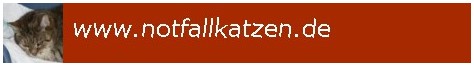 http://www.notfallkatzen.de/assets/images/notfallkatzen-linkbanner.jpg